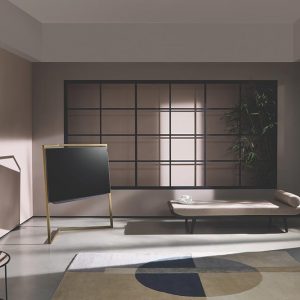 loewe-technologies-1105956-unsplash.jpg